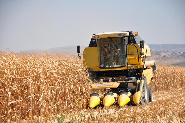 BÖLGEMİZDE MISIR HASAT SEZONU AÇILDI. [5.08.2022]